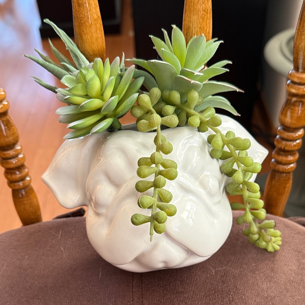White Ceramic Pug Planter with Green Succulents